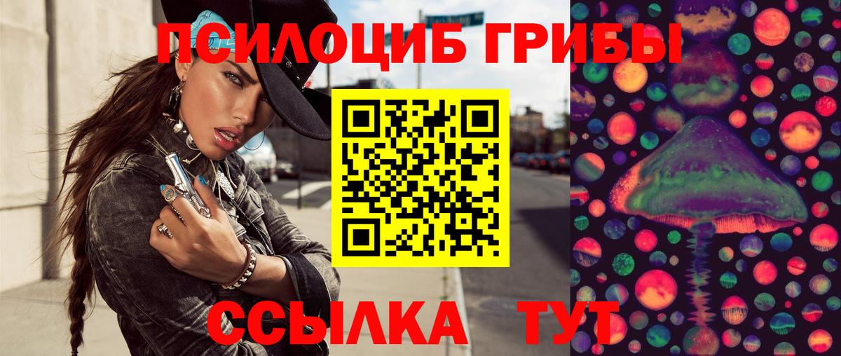 Галлюциногенные грибы Psilocybine cubensis  закладки  Корсаков  Вход с VPN 
